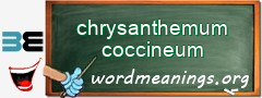 WordMeaning blackboard for chrysanthemum coccineum